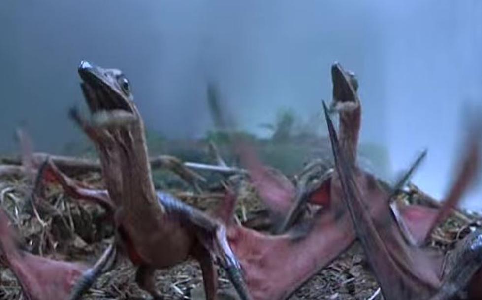 What If ‘Jurassic Park’ Was A Nature Documentary [VIDEO]
