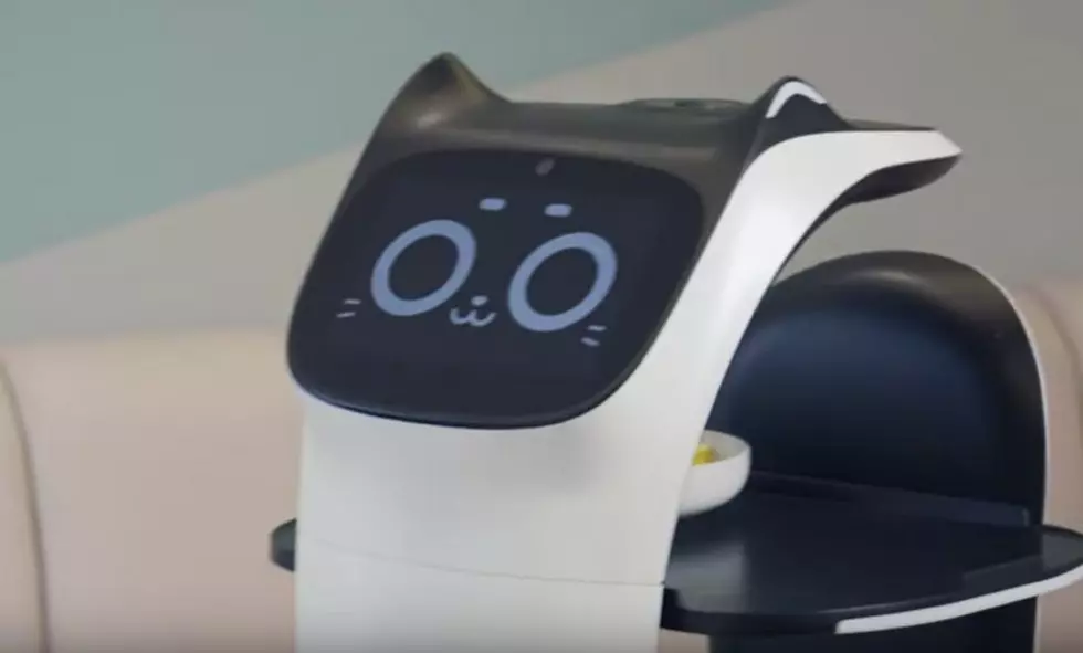 New Delivery Robot at CES Expo Looks and Behaves Like Cat [VIDEO]
