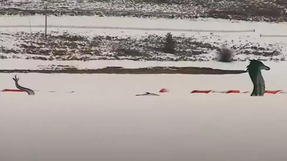 Mysterious Serpentine &#8216;Creature&#8217; Appears in Frozen Colorado Lake