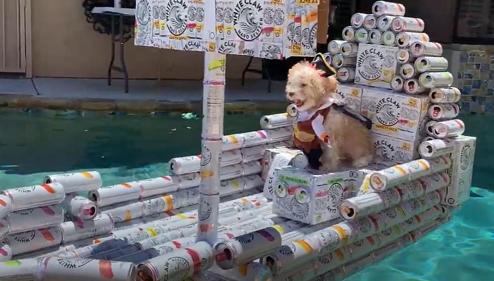 Quarantined Man Builds Pirate Ship Out Of White Claw Cans