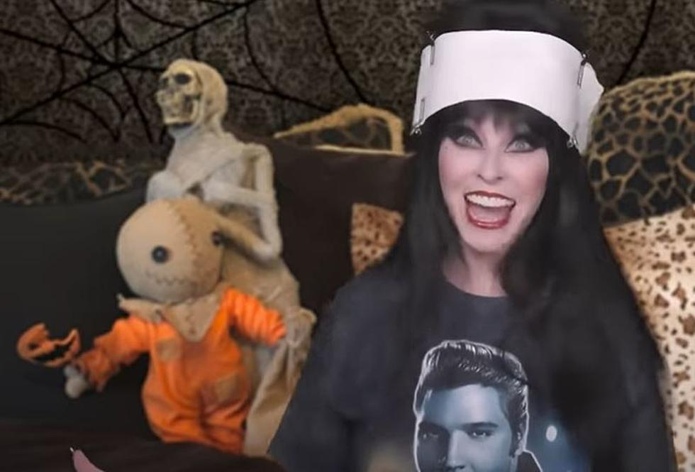 Elvira’s New Song Asks Us To Not Cancel Halloween