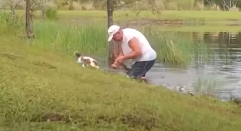 Watch as Florida Man Saves Puppy From Alligator