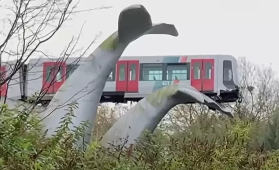 Dutch Subway Driver Has Whale of a Tail to Tell