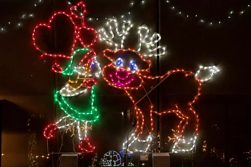 River Bend Nature Center&#8217;s ElectriCritters Display In Photos