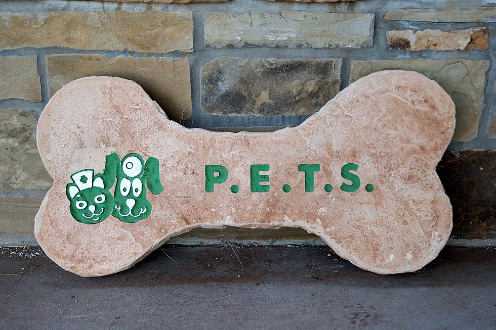 New P.E.T.S. Facility a Treat For Pets and Their People