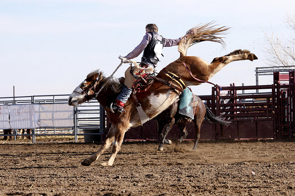 75th Annual Santa Rosa Roundup Is This Week in Vernon, Texas
