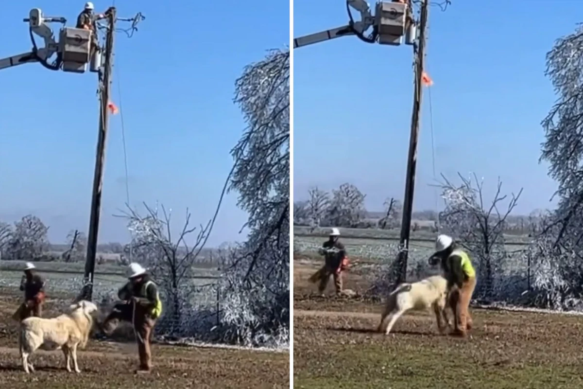 Crazy day in Austin! Guy restoring power goes head to head with a Ram