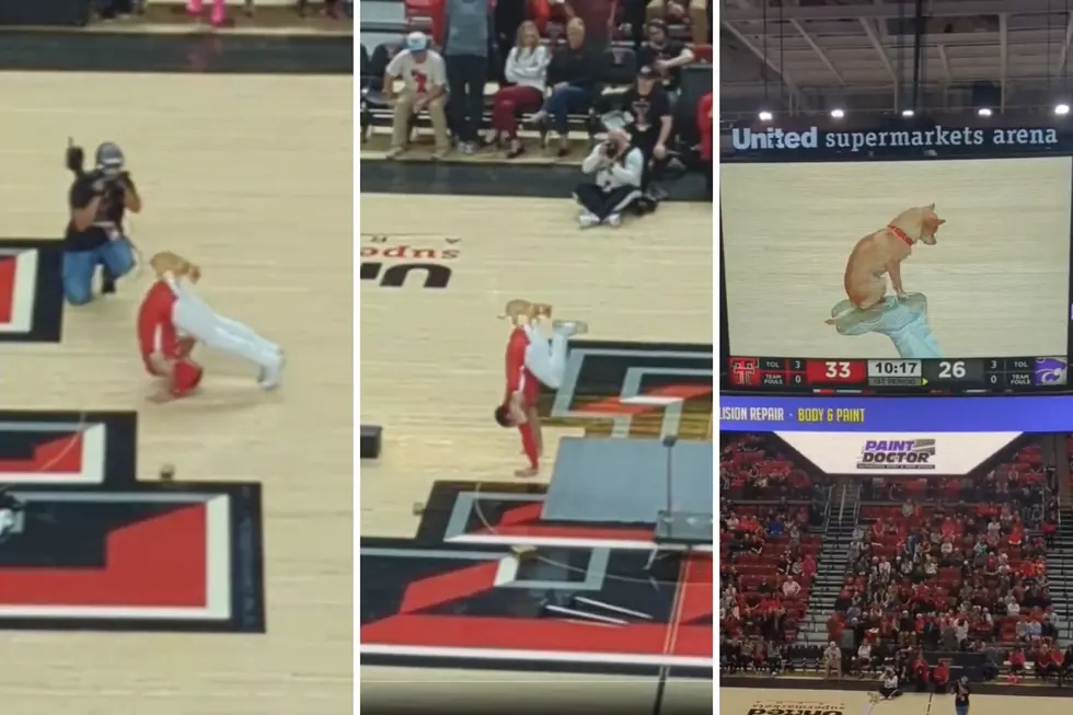 The Cutest Acrobatic Puppy Performance Just Went Down in Lubbock, Texas
