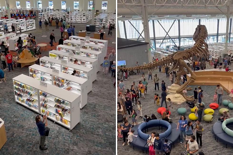 Spectacular 62 Million Dollar Library Opens in Frisco, Texas