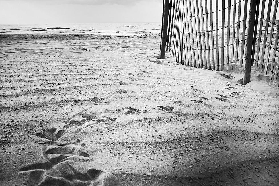 Say Goodbye to Texas Beaches: The End is Near