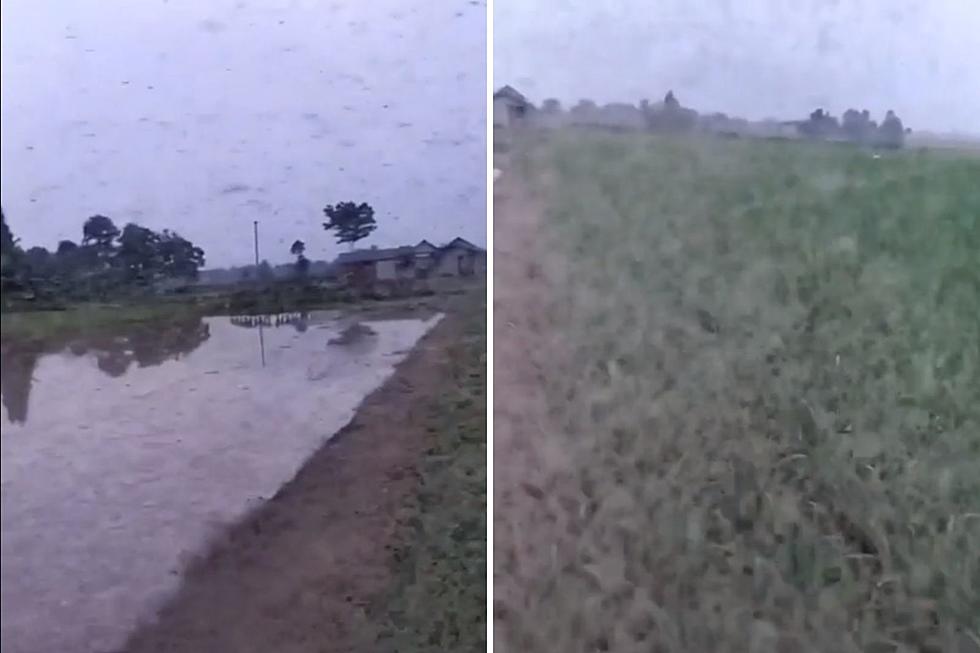 Terrifying Sight: Massive Texas Mosquito Swarm Caught on Video