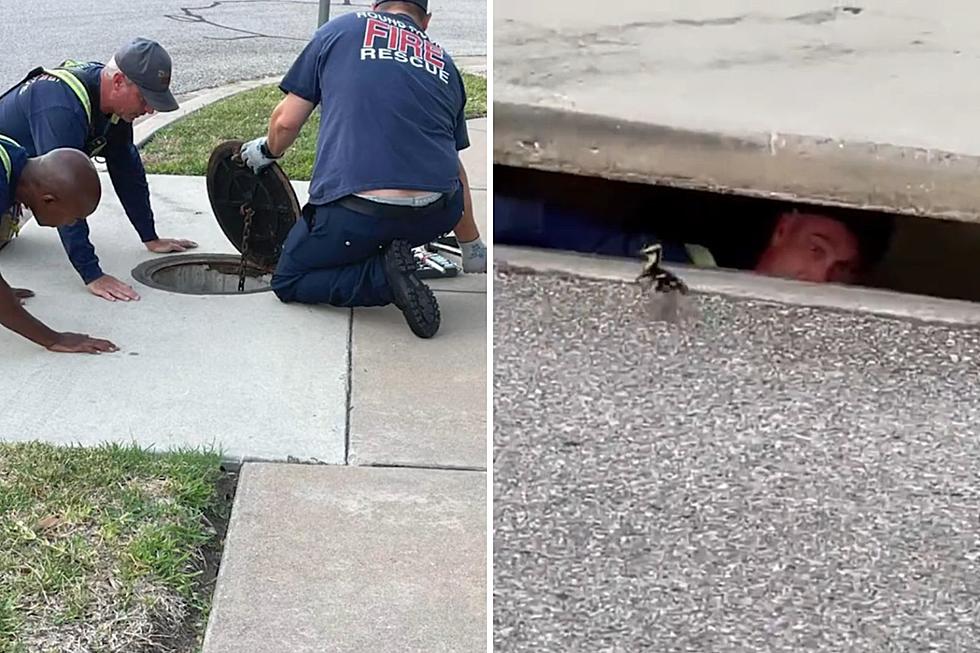 Dramatic Rescue: Texas Firefighters Retrieve Ducklings from Storm Drain