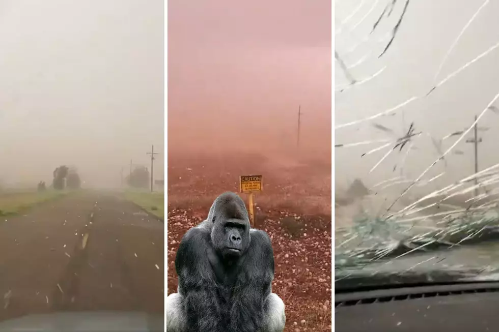 Gorilla Hail Shreds SUV in Texas Panhandle