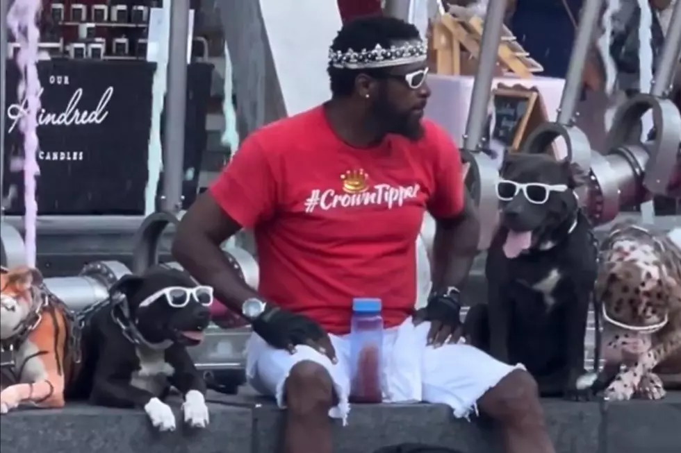 Watch Man and 4 Cool Dogs Chill at Texas Fountain