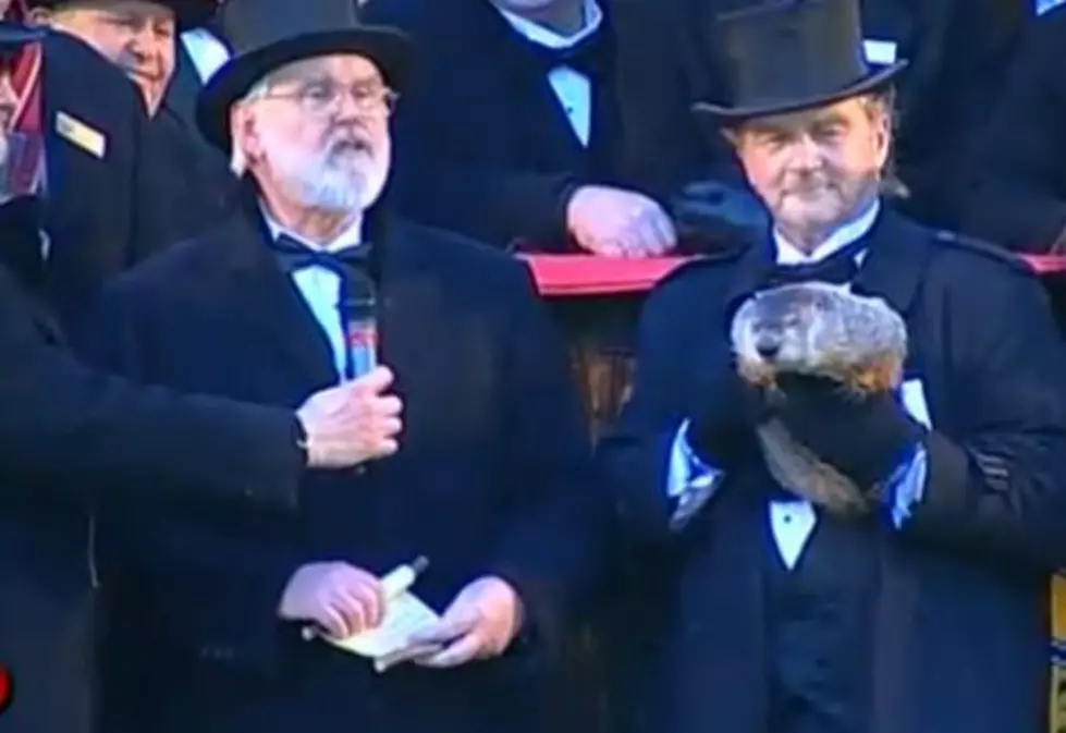 Punxsutawney Phil Doesn’t See His Shadow, Predicts Early Spring [VIDEO]