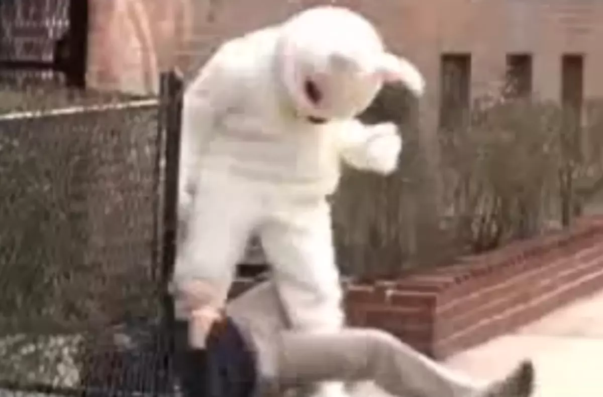 The Easter Bunny Kicking Ass VIDEO
