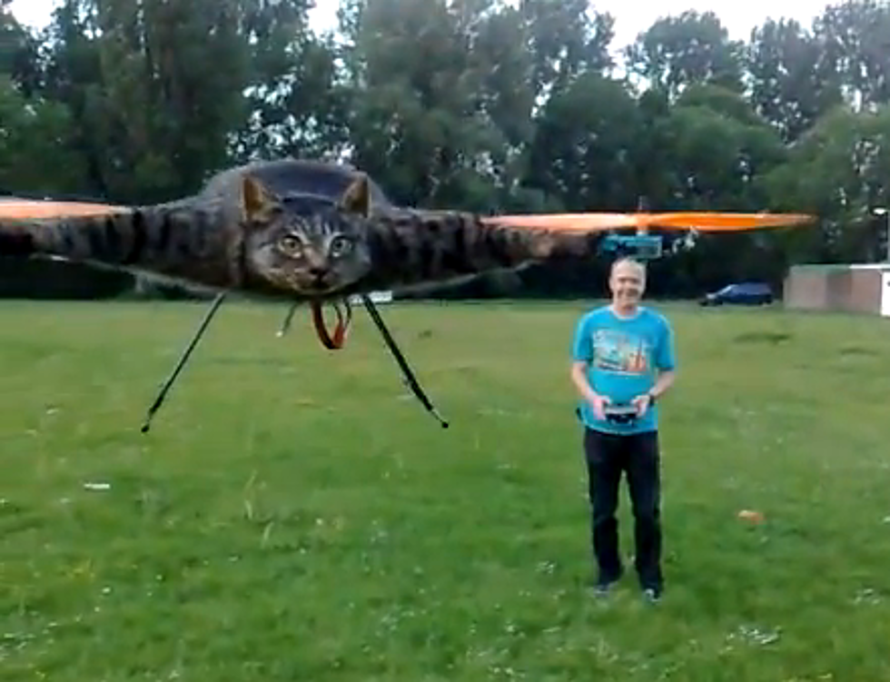 Man Taxidermies Cat into Radio Controlled Flying Machine [VIDEO]