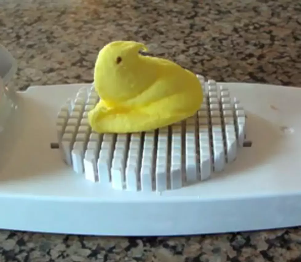 Peeps are Fun During the Holidays – But How do you Kill a Peep? [VIDEO]