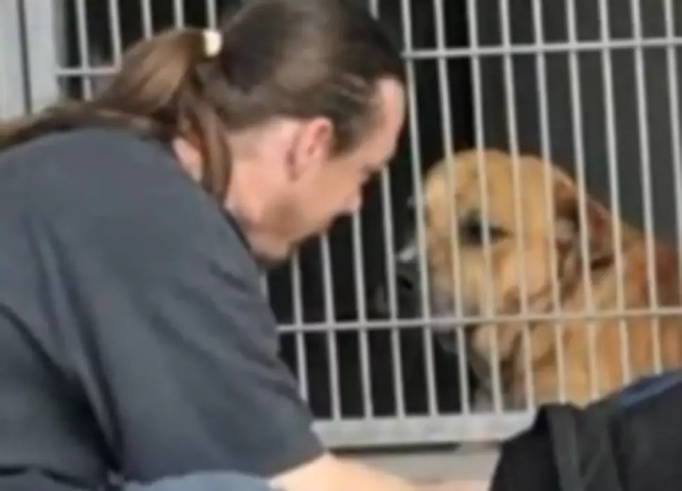 Man Reunited With Dog Threatens to Sue Shelter Worker [VIDEO]