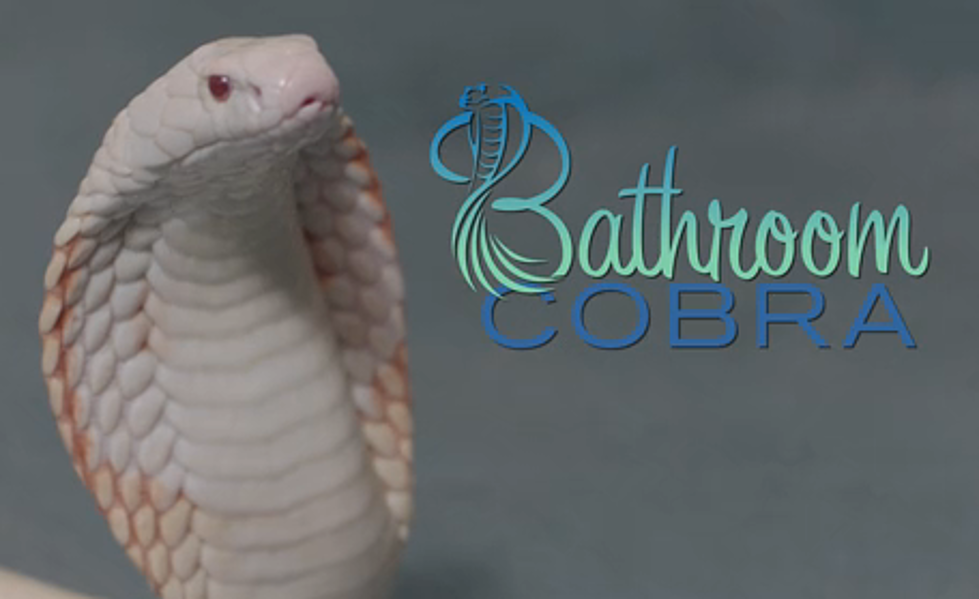 Vince Vaughn Introduces: The ‘Bathroom Cobra’