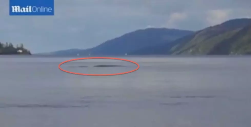 New Loch Ness Monster Sighting [VIDEO]