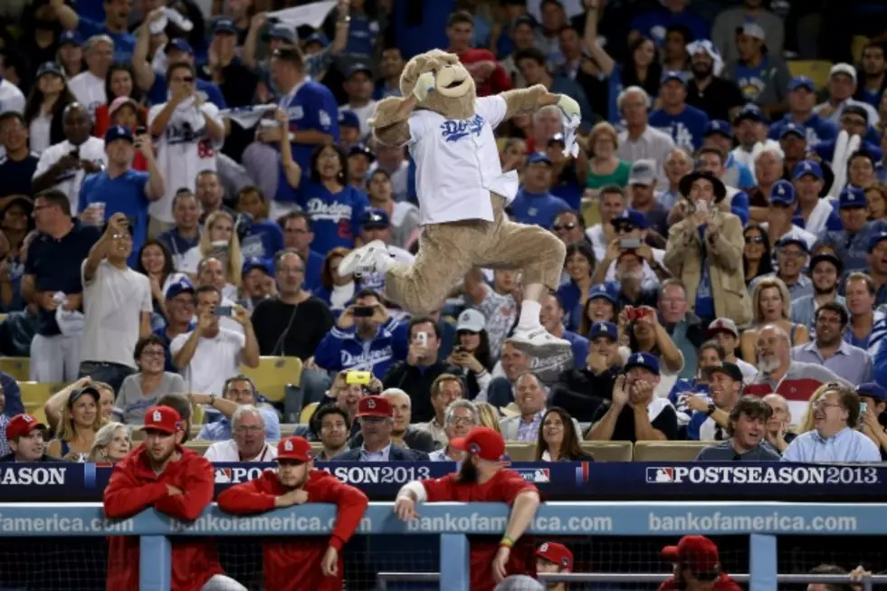Dodgers Rally Bear Gets Six Month Ban