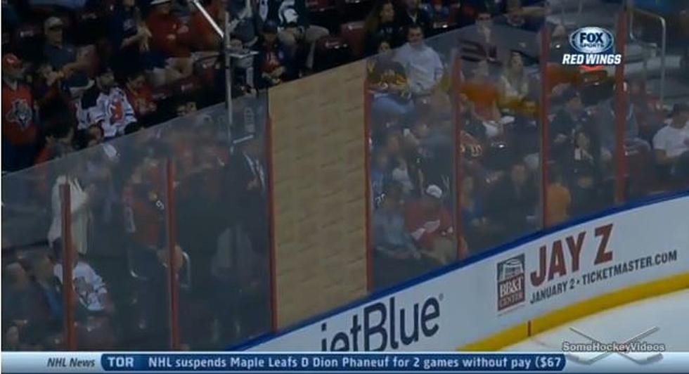 Florida Panthers Replace Broken Glass With Glass You Can’t See Through [VIDEO]