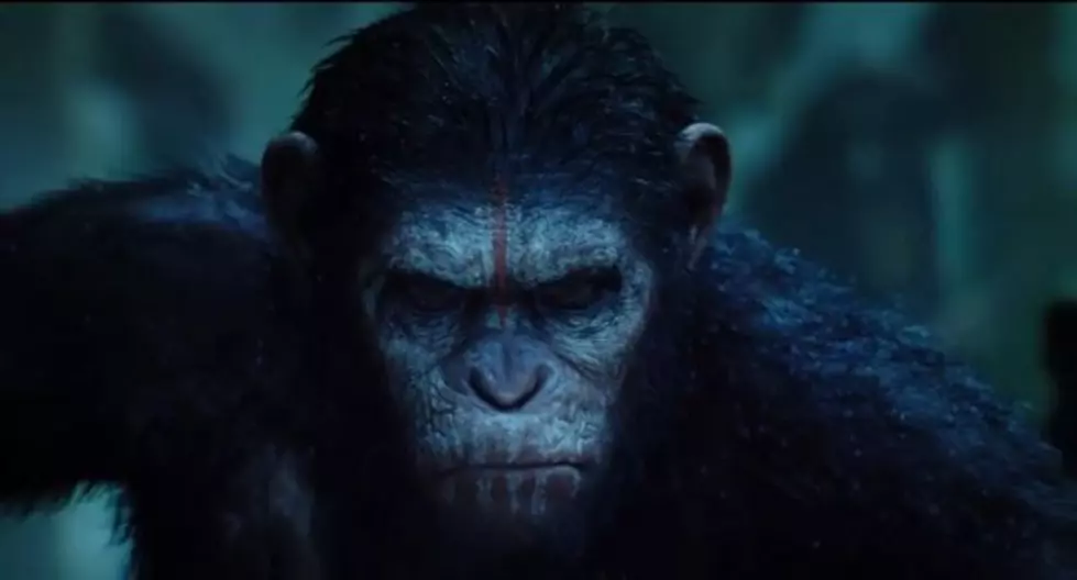 New Planet of the Apes Trailer Released [VIDEO]