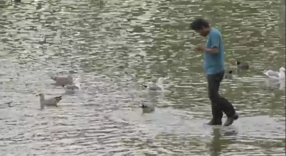 Walking on Water Prank Freaks People Out at a Park [VIDEO]