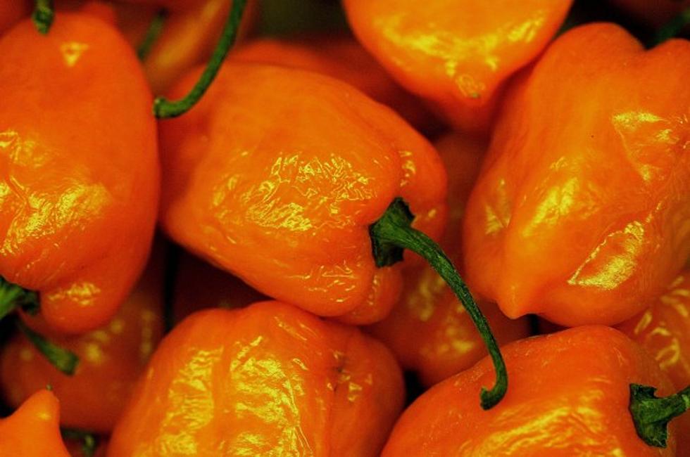 Hot Peppers on Playground Forces School to Shutdown