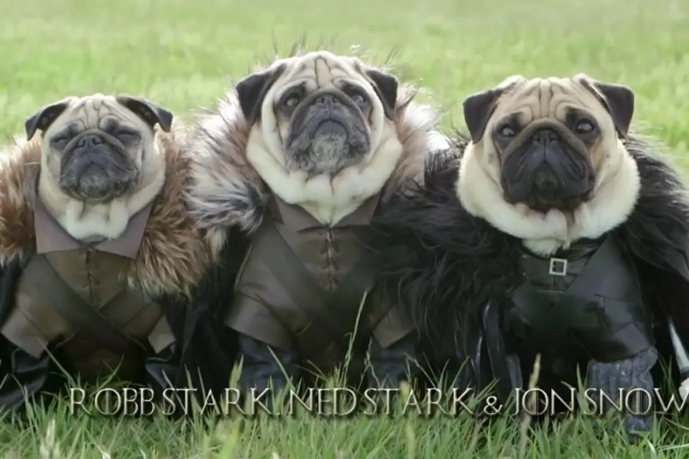 Pugs of Westeros