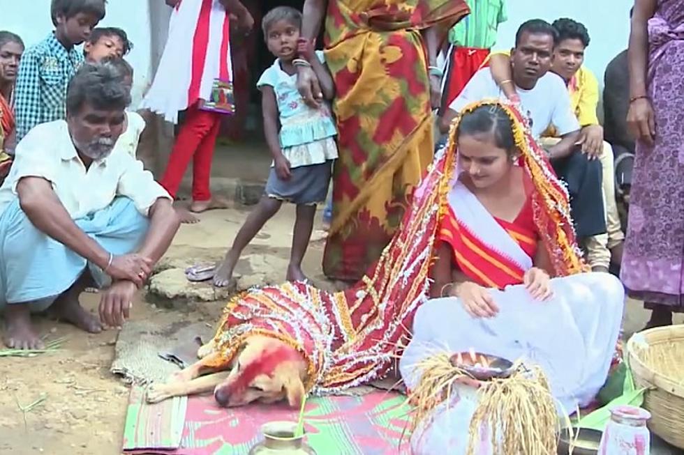 Indian Girl Marries Dog to Ward Off Curse