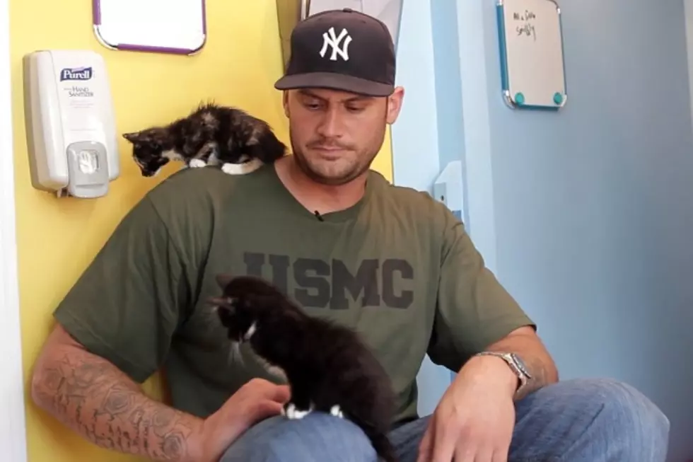 Watch These Kittens Turn the Toughest Men into Pushovers [VIDEO]