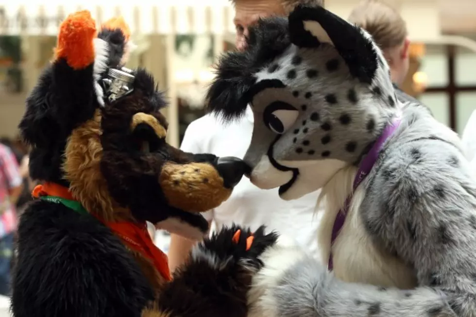 Furry Convention Attacked