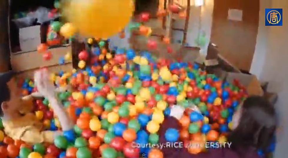 Rice Student Turns His Dorm Room Into a Ball Pit [VIDEO]