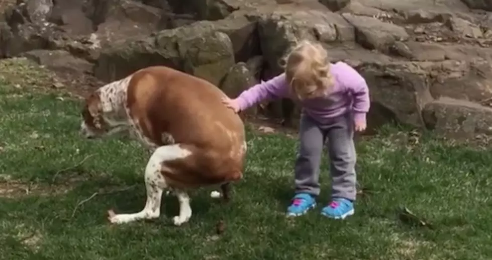Adorable Kid Congratulates Her Dog on Pooping [VIDEO]