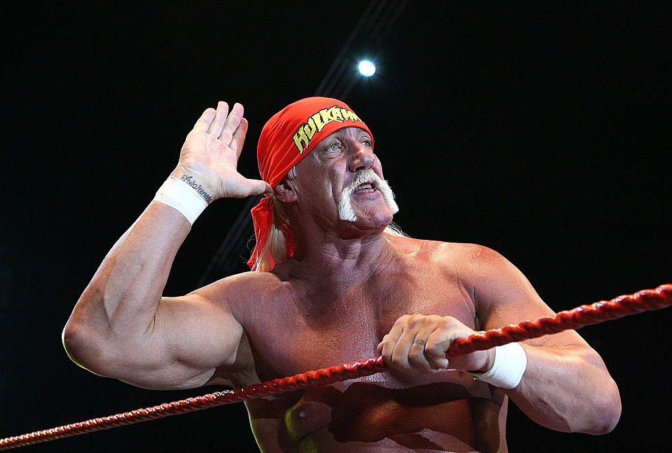 Hulk Hogan Fired From the WWE