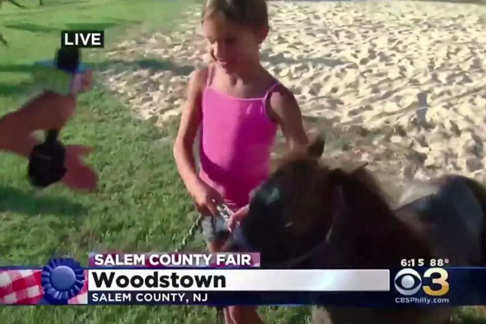 Pony Kicks Little Girl on Live T.V.