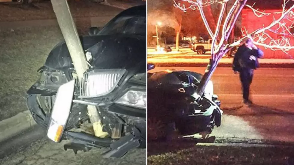 Oblivious Drunk Driver Cruises Around With a Tree in Hood of Her Car