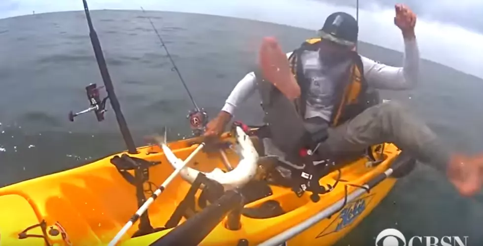 Texas Man Gets One Hell of a Surprise When a Little Shark Jumps in His Kayak [VIDEO]