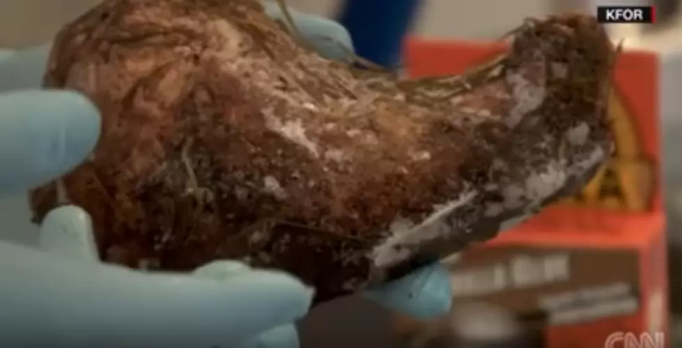 Oklahoma Dog Eats Gorilla Glue, Results Not Pretty [VIDEO]