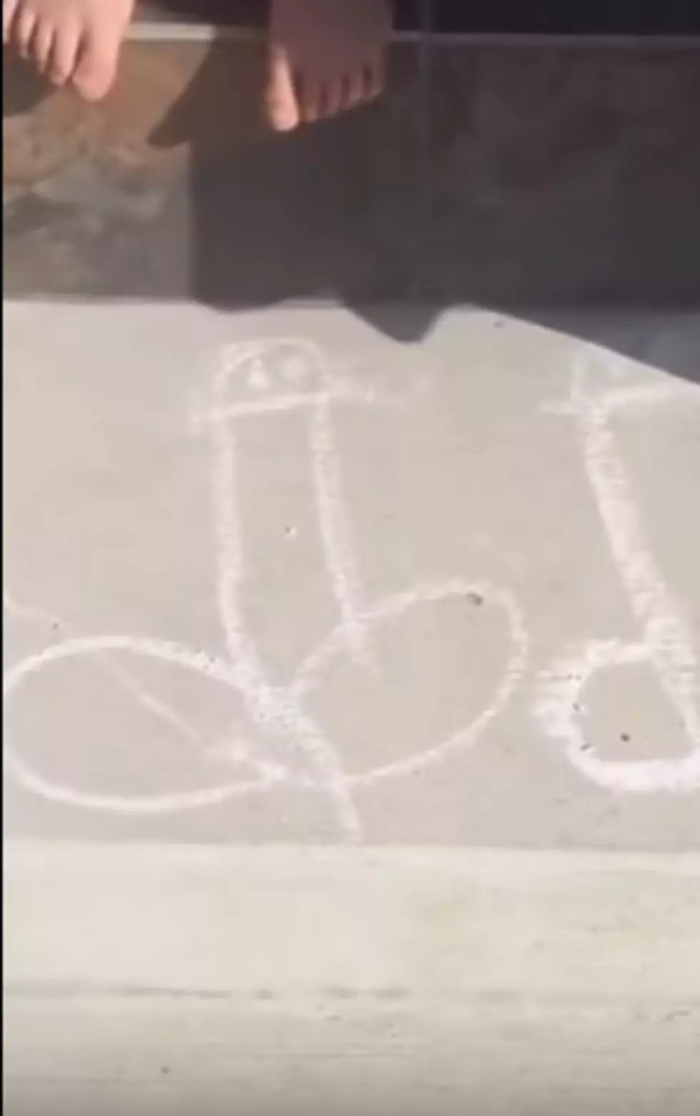 Little Girl Draws Family of ‘Giraffes’ on the Porch, You be the Judge [VIDEO]