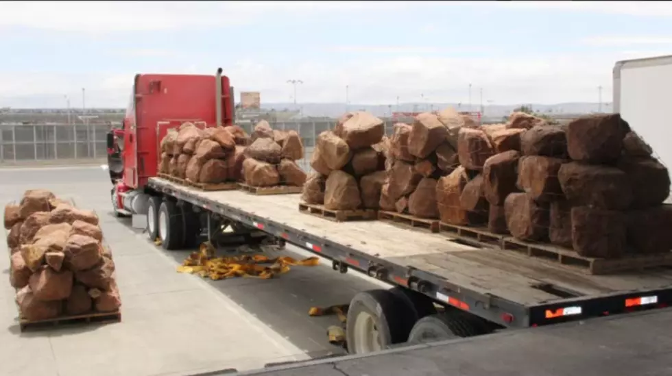 Over 500 Packages of Marijuana Found Hidden Inside Fake Rocks at Mexico Border [PHOTOS]