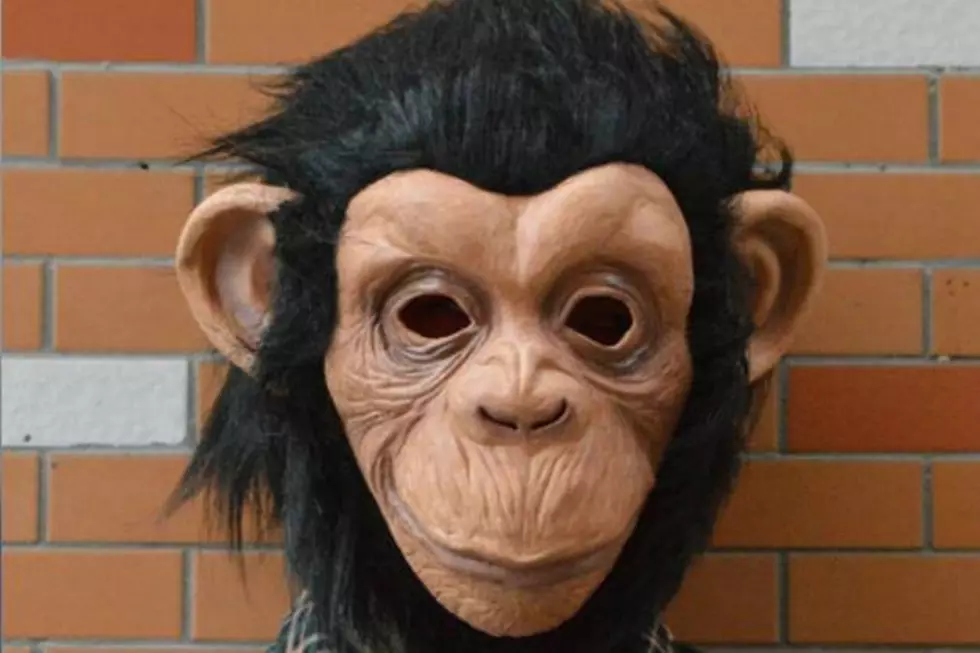 WF Monkey Mask Robbery