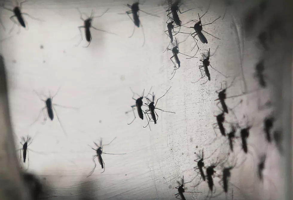 Baby is the First to Pass Away from Zika-linked Birth Defect in Texas