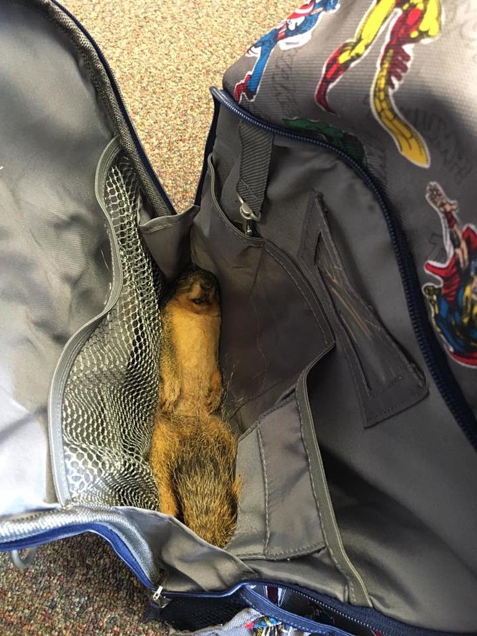 Oklahoma Student Finds Dead Squirrel and Brought it to School