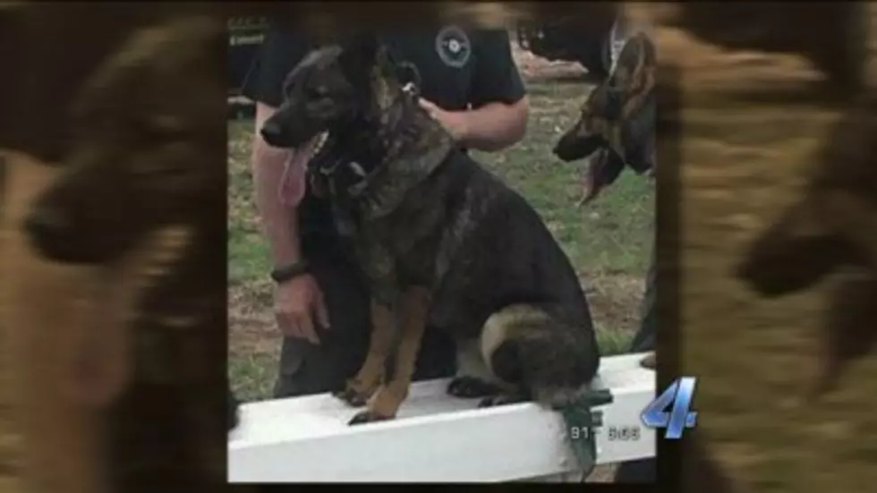 Oklahoma Officer Leaves K-9 Unit in Car For Over a Day