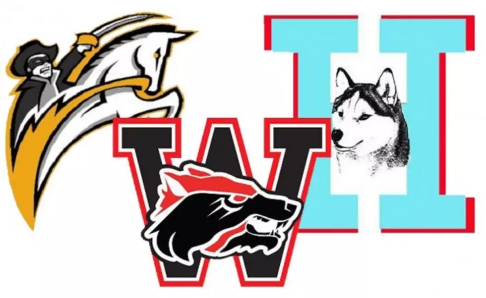 WFISD Settles on Finalists for Mascots and I DON'T Want Mine 