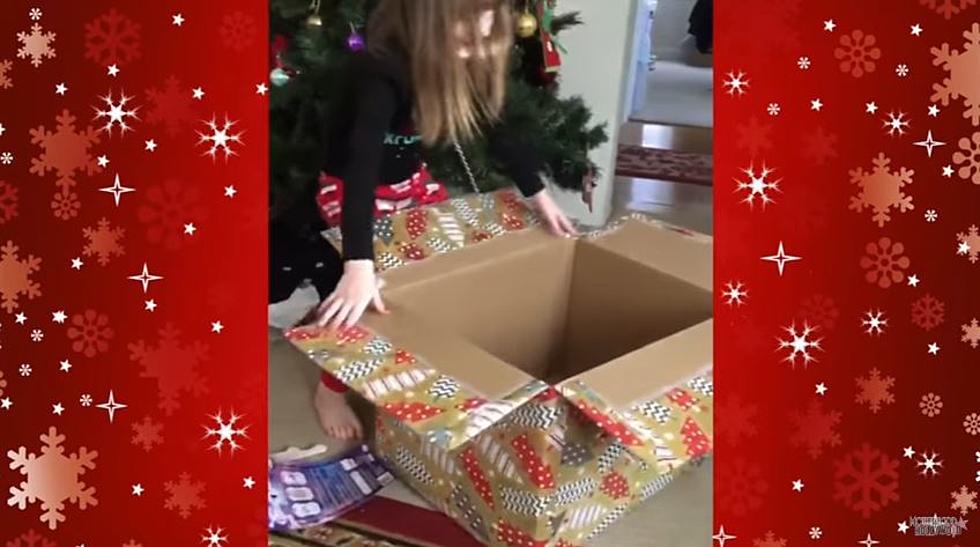Cat Unknowingly Pranks 3-Year-Old Girl for Christmas [VIDEO]