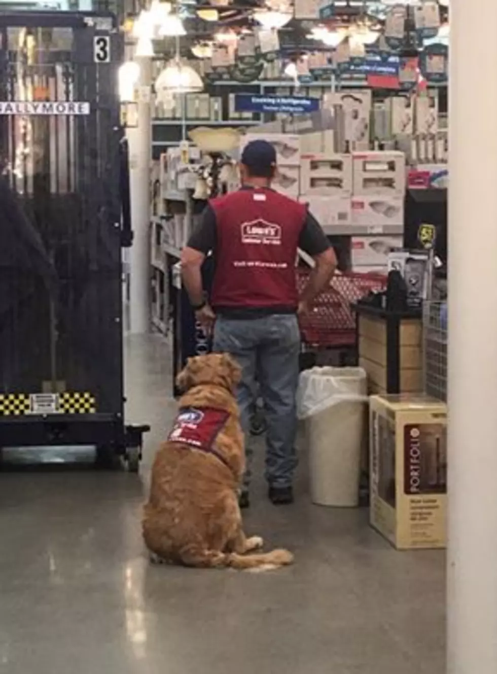 Texas Lowes Hires Disabled Vet and His Service Dog